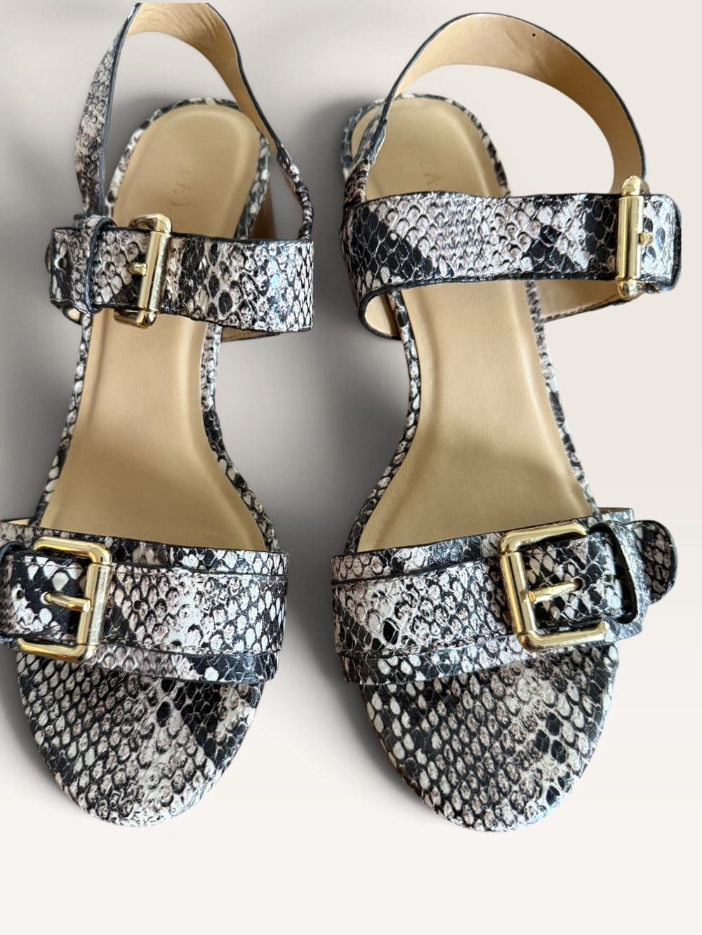 Talbots Snakeskin Print Block Heel gold Buckle Sandals Women’s Size 7